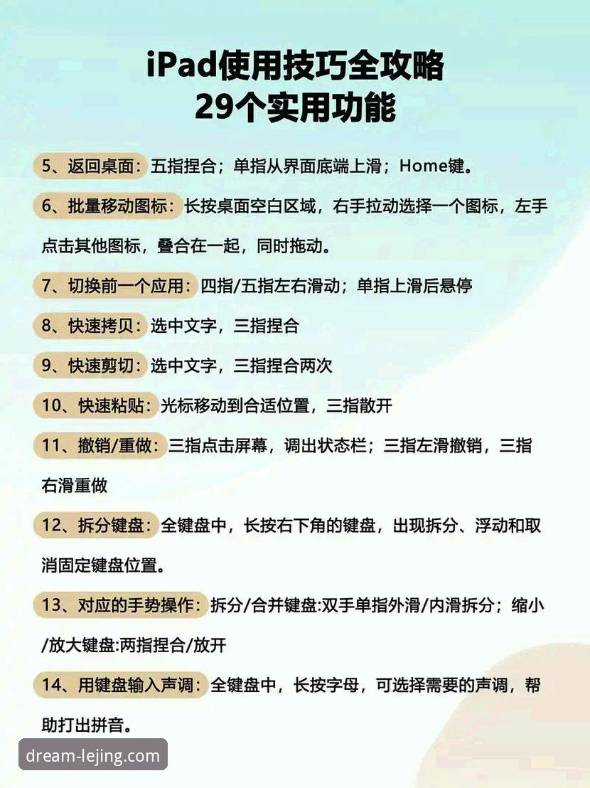 乐竞体育电脑版用户必知的5个实用技巧与操作指南